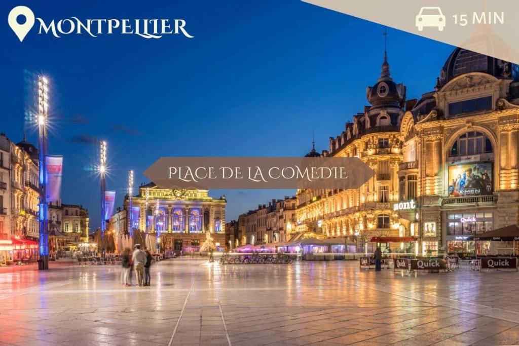 028- Chu Hopital, Appart 2Chambres, Parking, Tram Montpellier Luaran gambar